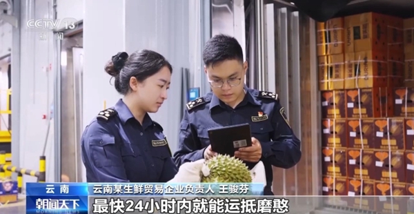 微信图片_2026-08-11_144250_672.jpg