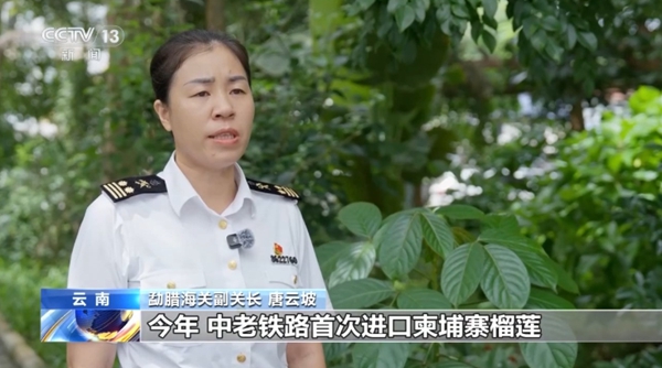微信图片_2026-08-11_144255_184.jpg