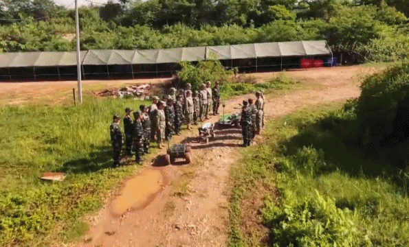 33.gif